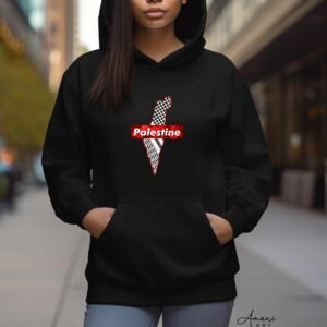 Palestine 17 hoodie
