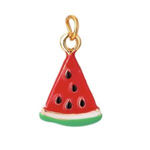 Watermelon 1 Charm