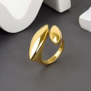 Geometric Ring